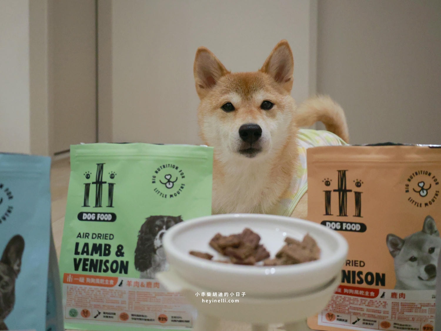狗狗飼料推薦|挑嘴救星!100%紐西蘭天然食材+93%up含肉量《iti一醍主食系列》天然風乾主食開箱 - 第10張圖