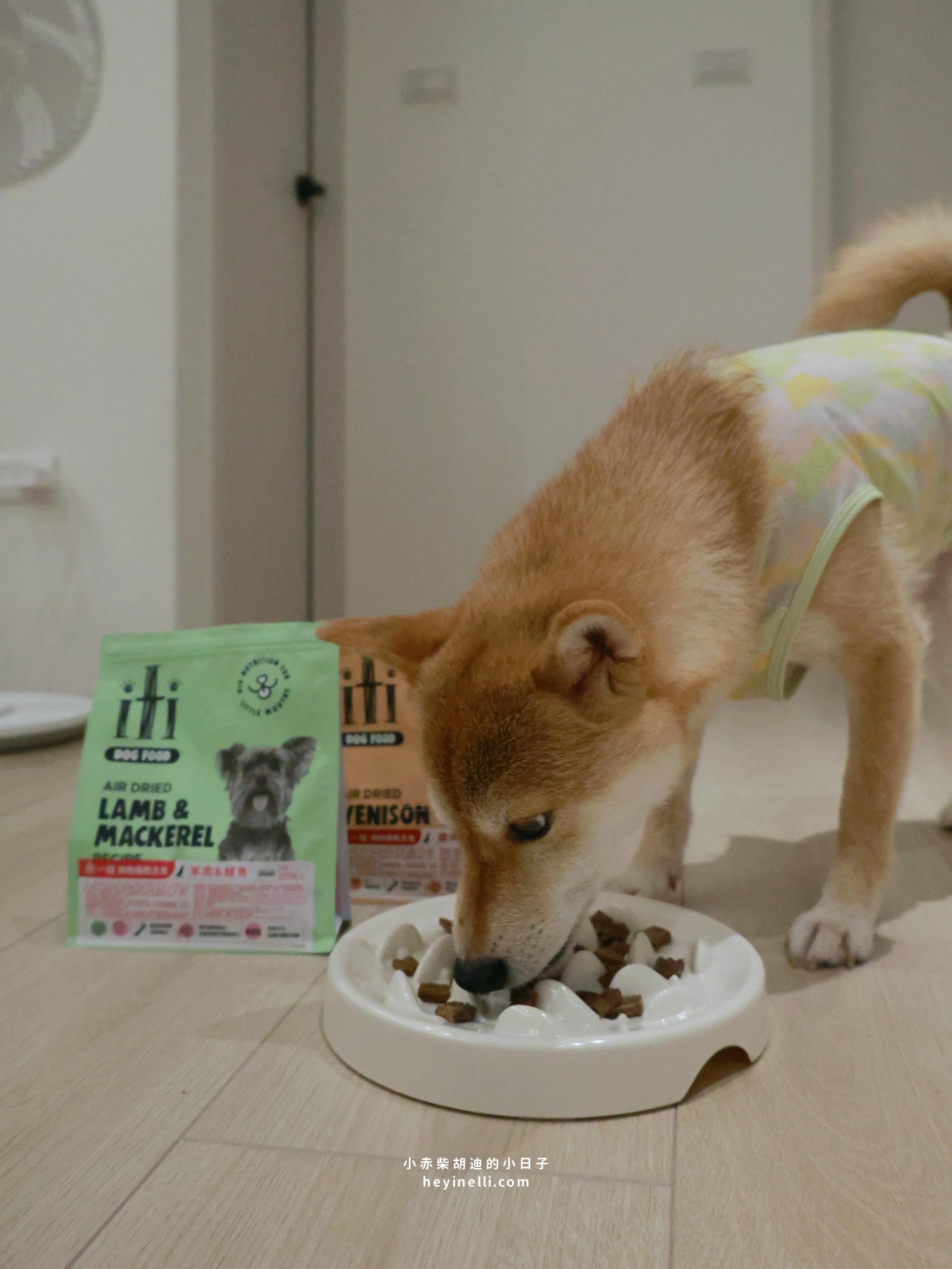 狗狗飼料推薦|挑嘴救星!100%紐西蘭天然食材+93%up含肉量《iti一醍主食系列》天然風乾主食開箱 - 第14張圖