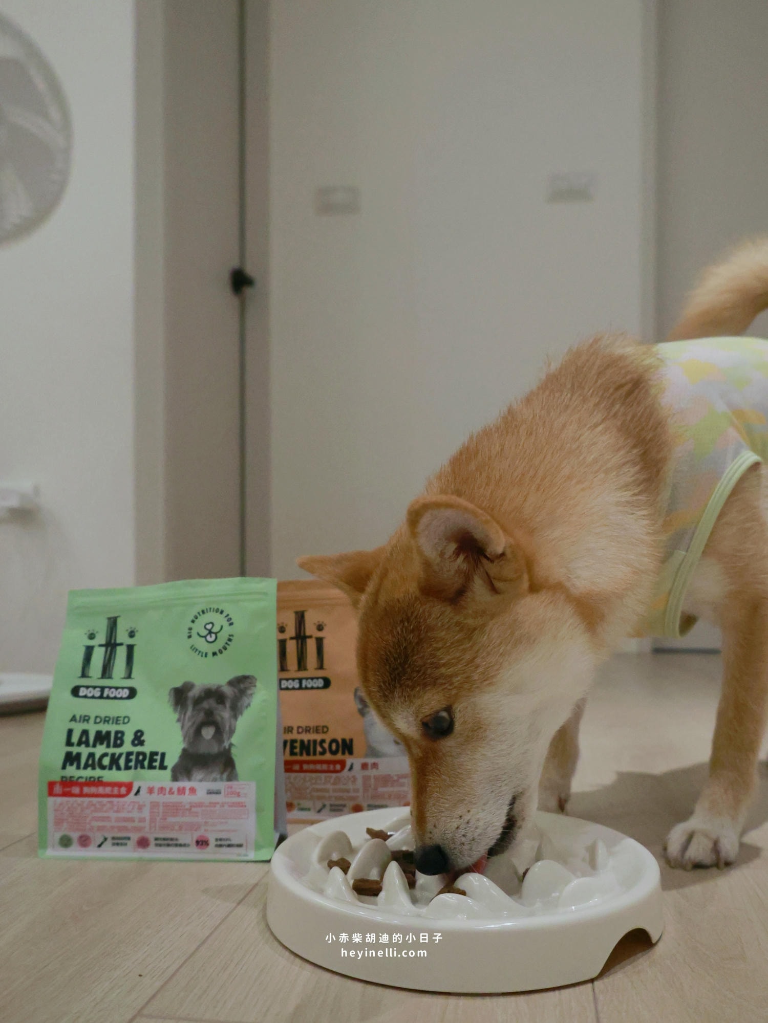 狗狗飼料推薦|挑嘴救星!100%紐西蘭天然食材+93%up含肉量《iti一醍主食系列》天然風乾主食開箱 - 第15張圖