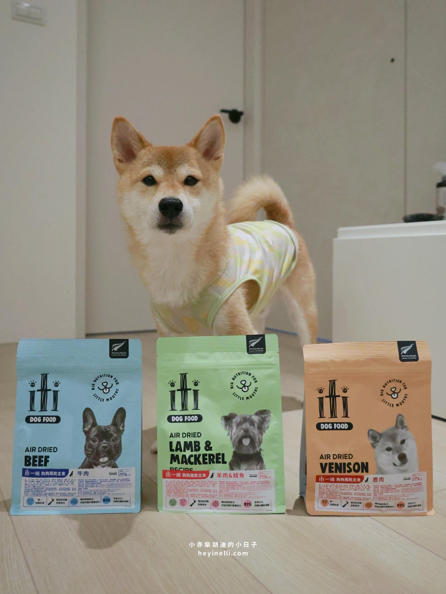 狗狗飼料推薦|挑嘴救星!100%紐西蘭天然食材+93%up含肉量《iti一醍主食系列》天然風乾主食開箱 - 第1張圖