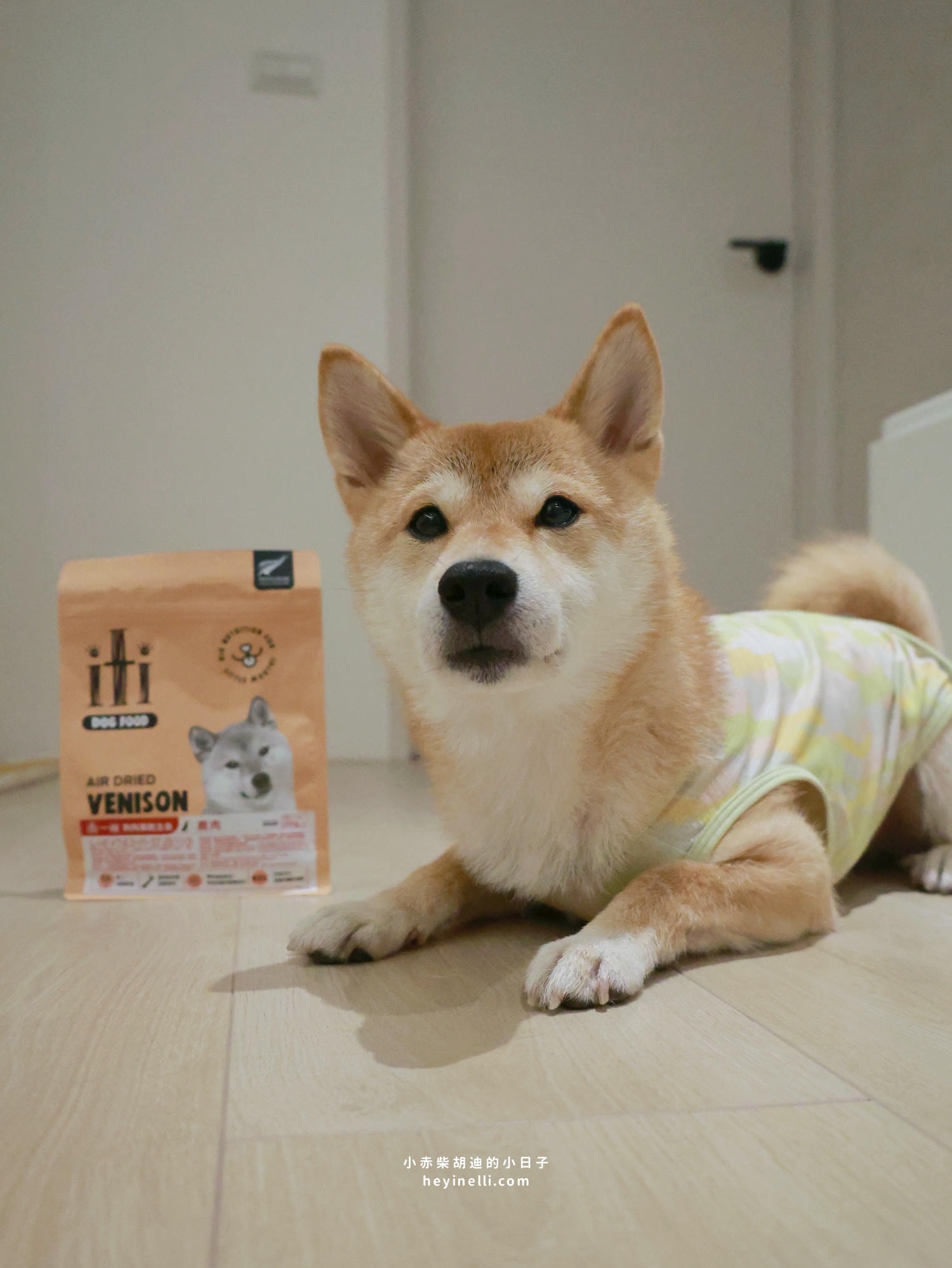 狗狗飼料推薦|挑嘴救星!100%紐西蘭天然食材+93%up含肉量《iti一醍主食系列》天然風乾主食開箱 - 第5張圖