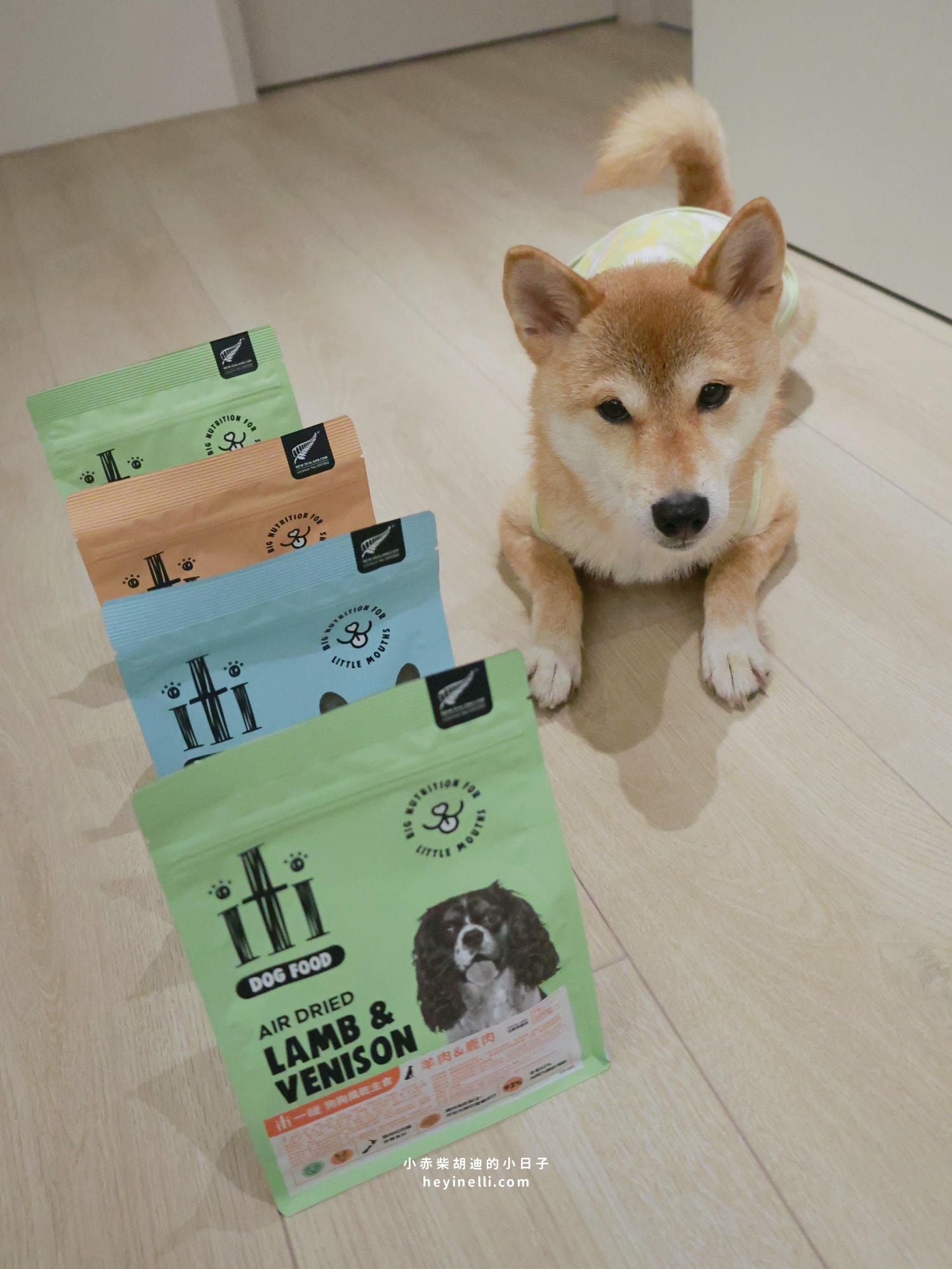 狗狗飼料推薦|挑嘴救星!100%紐西蘭天然食材+93%up含肉量《iti一醍主食系列》天然風乾主食開箱 - 第2張圖