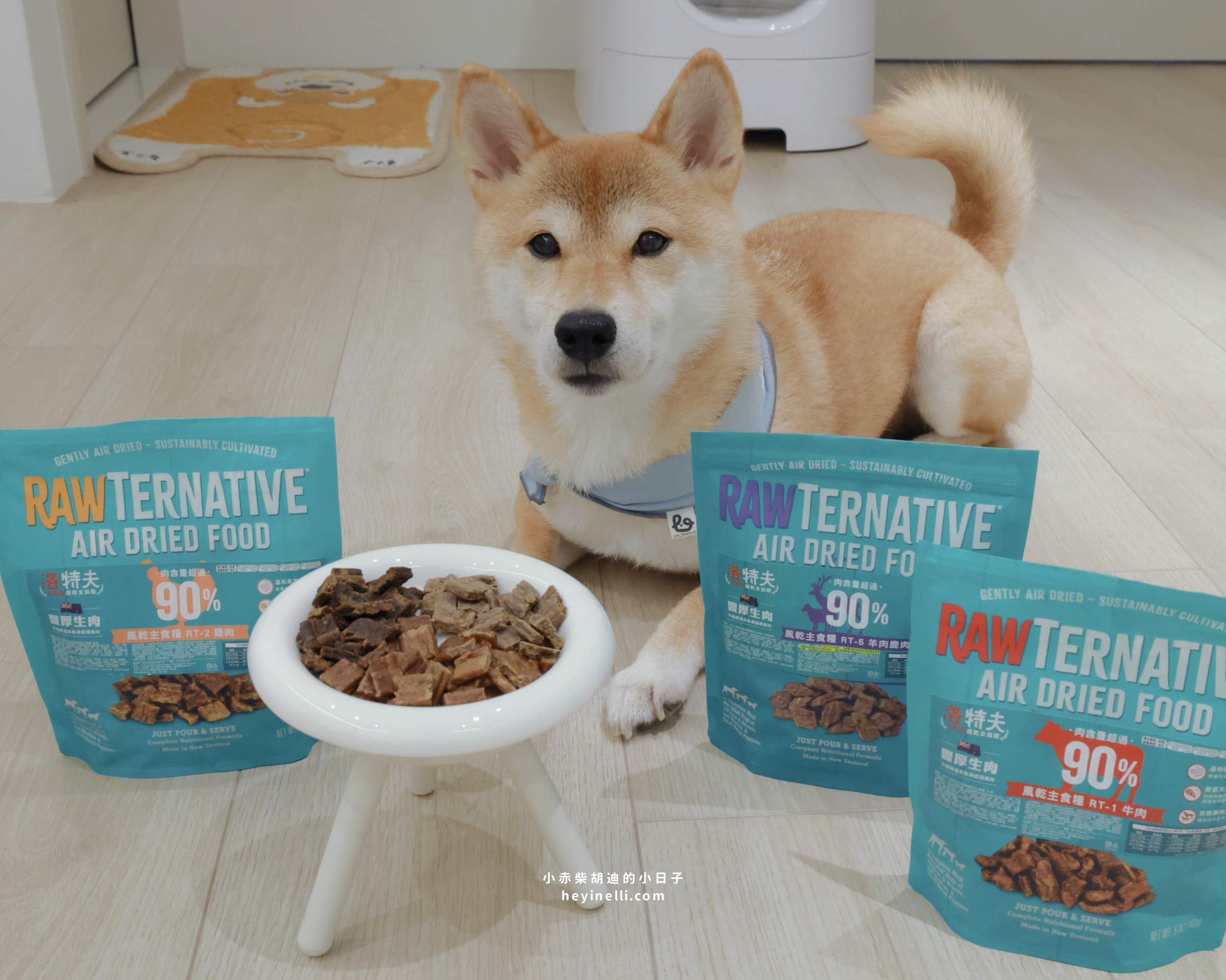 狗狗飼料推薦|90%up肉含量!洛特夫 RAW TERNATIVE 紐西蘭風乾主食犬糧開箱 - 第11張圖