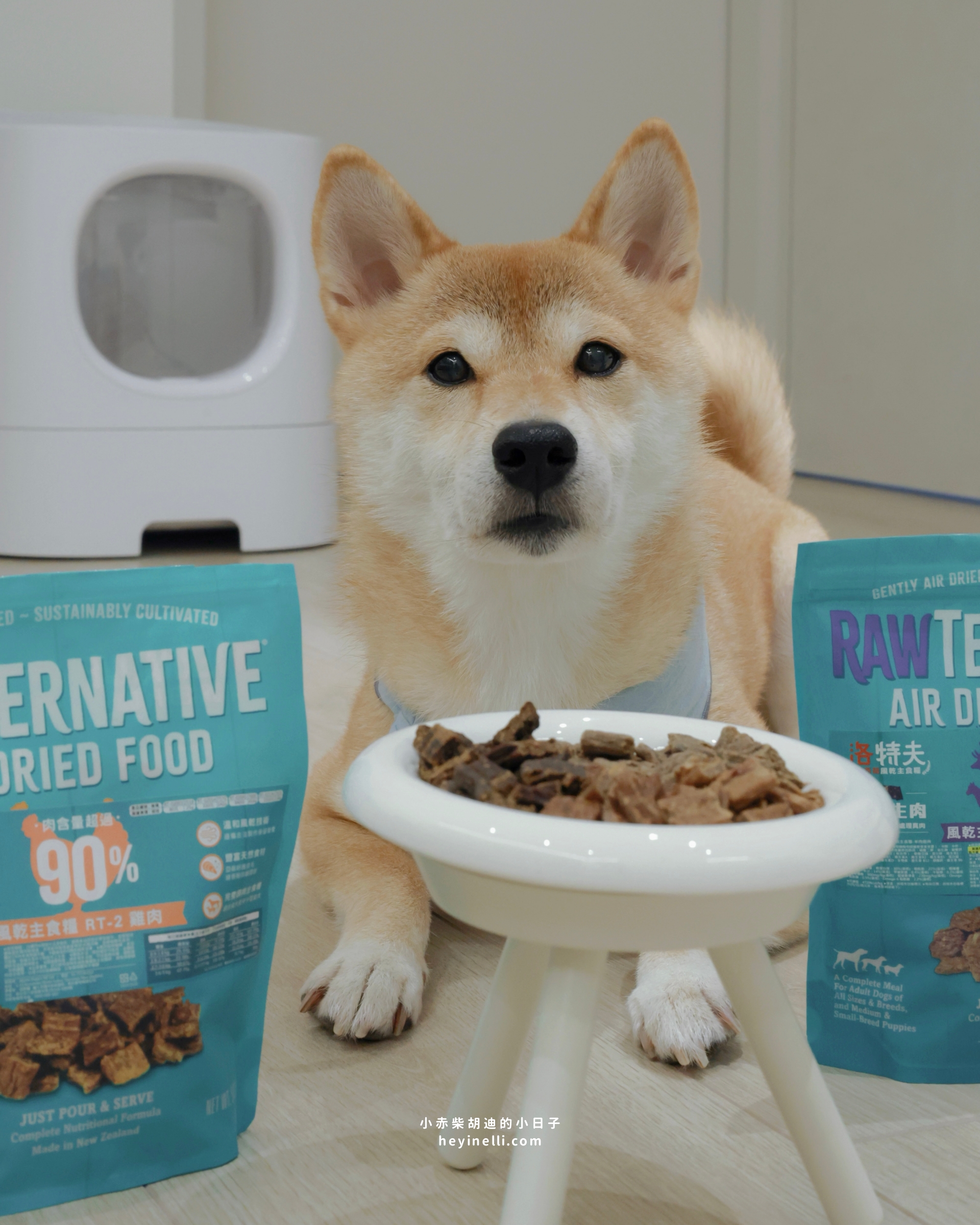 狗狗飼料推薦|90%up肉含量!洛特夫 RAW TERNATIVE 紐西蘭風乾主食犬糧開箱 - 第7張圖