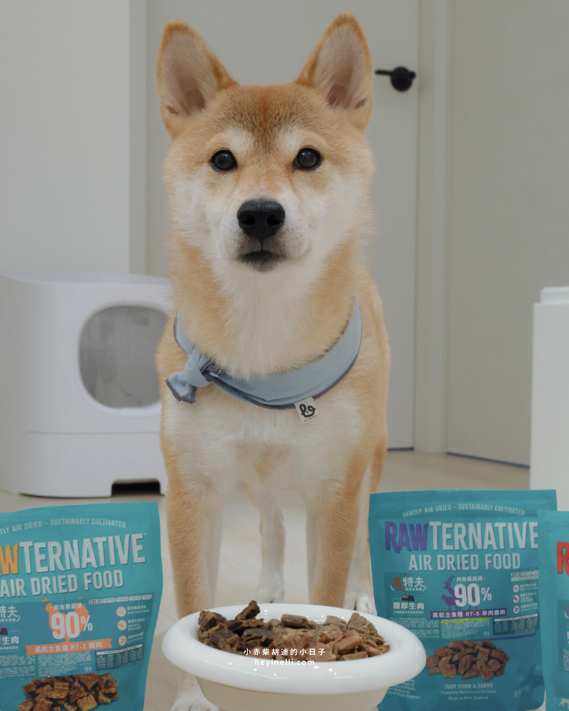狗狗飼料推薦|90%up肉含量!洛特夫 RAW TERNATIVE 紐西蘭風乾主食犬糧開箱 - 第6張圖
