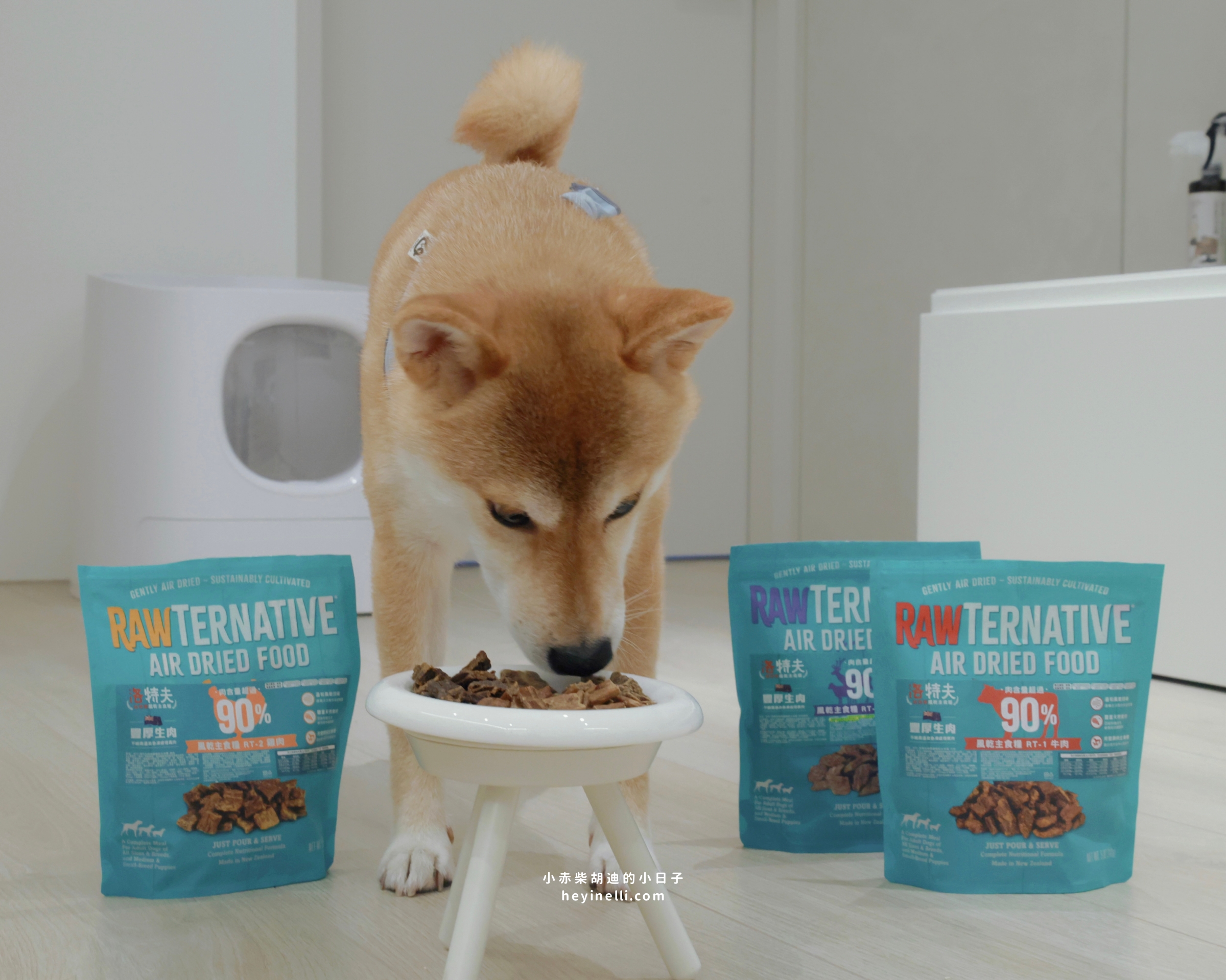 狗狗飼料推薦|90%up肉含量!洛特夫 RAW TERNATIVE 紐西蘭風乾主食犬糧開箱 - 第8張圖