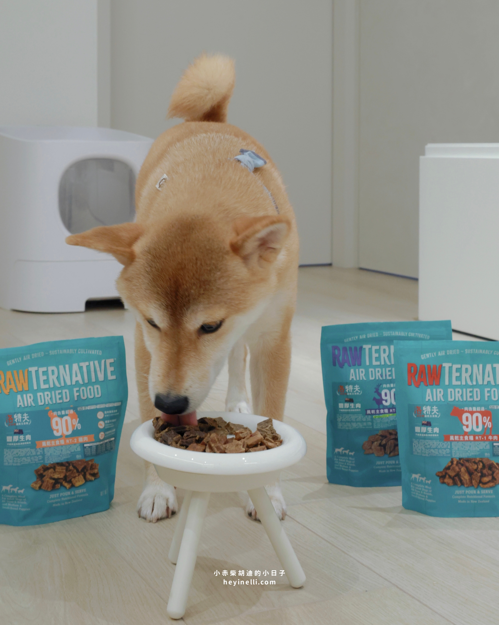 狗狗飼料推薦|90%up肉含量!洛特夫 RAW TERNATIVE 紐西蘭風乾主食犬糧開箱 - 第9張圖