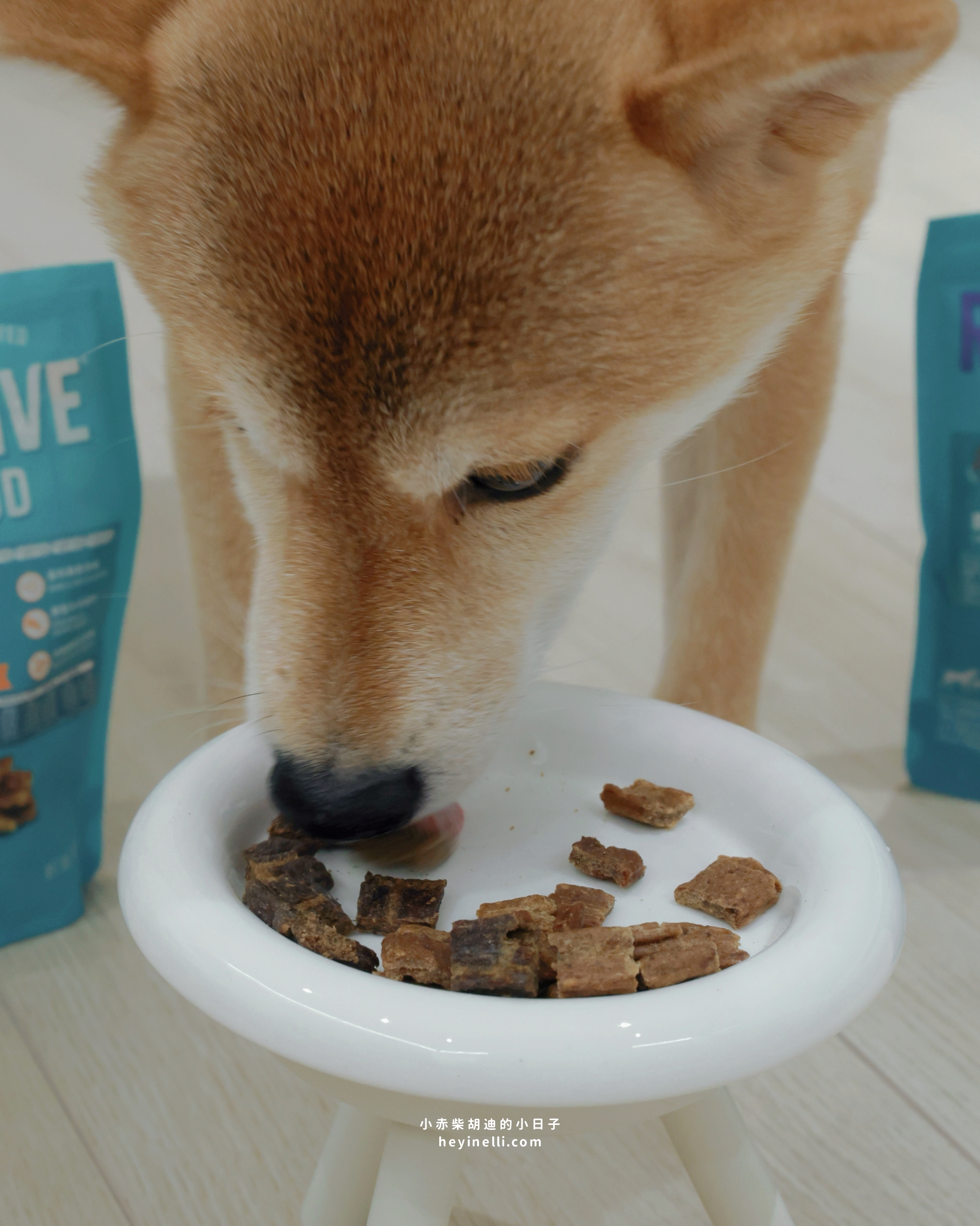 狗狗飼料推薦|90%up肉含量!洛特夫 RAW TERNATIVE 紐西蘭風乾主食犬糧開箱 - 第10張圖