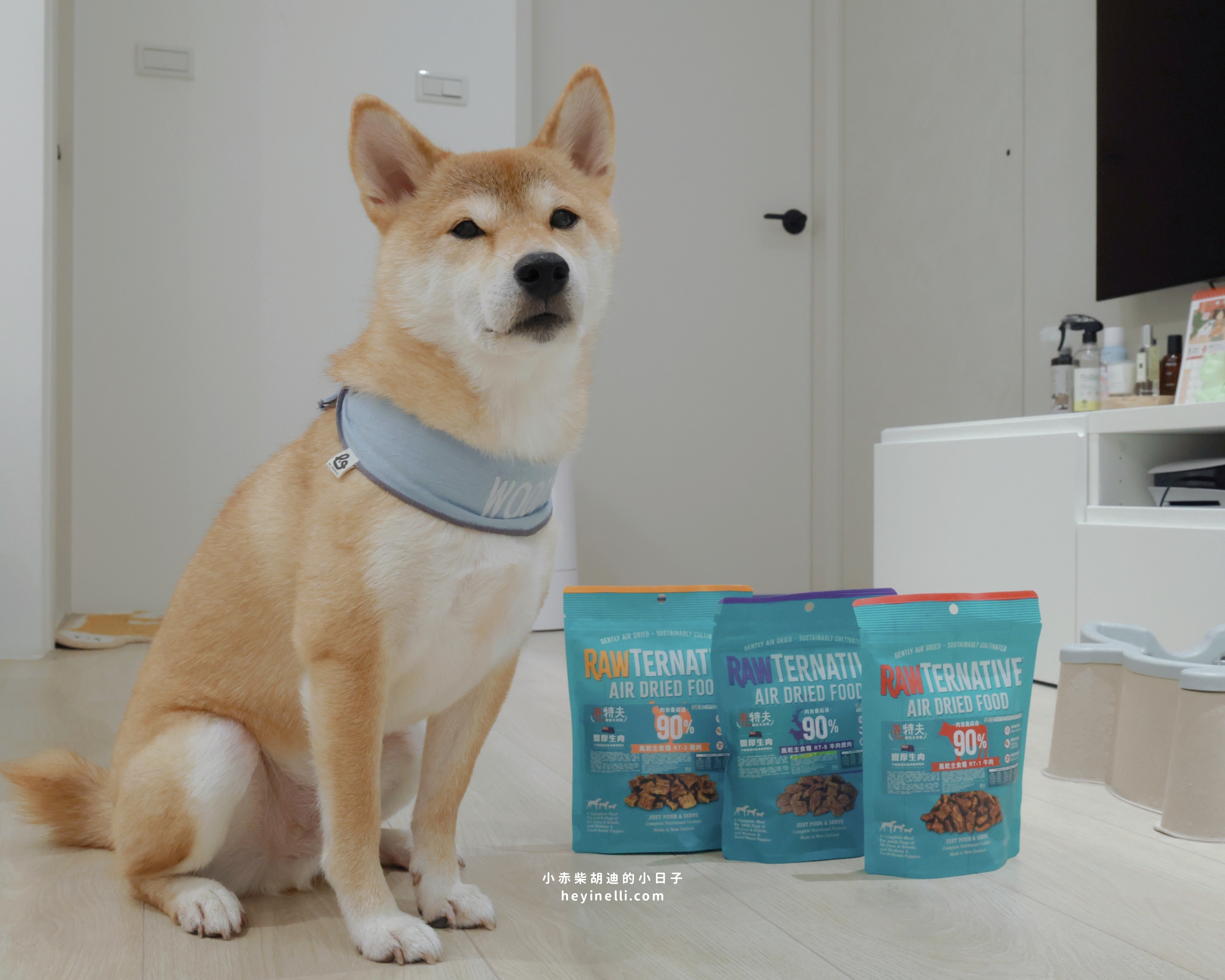 狗狗飼料推薦|90%up肉含量!洛特夫 RAW TERNATIVE 紐西蘭風乾主食犬糧開箱 - 第1張圖