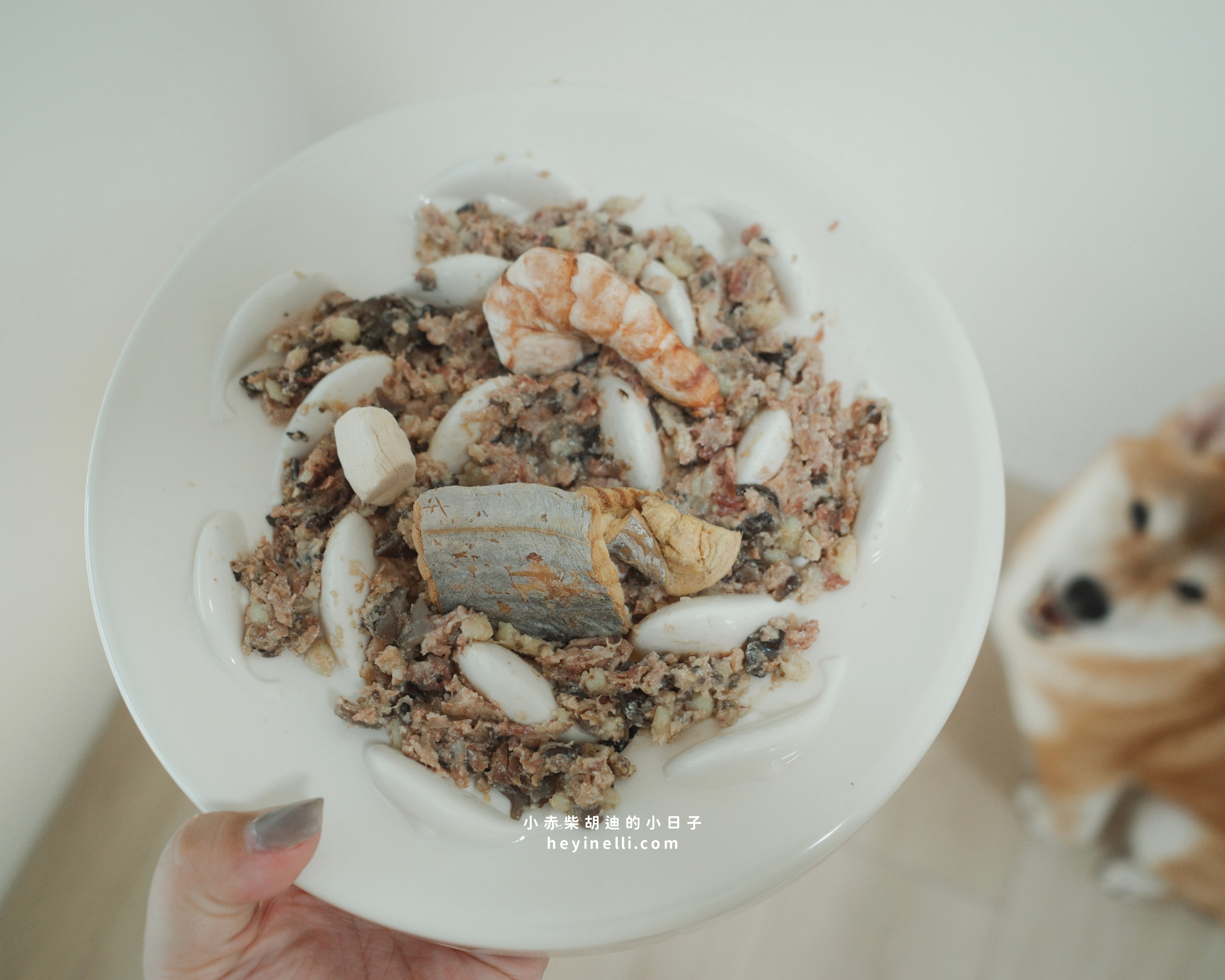 寵物鮮食包推薦|毛力士鮮食餐包開箱:營養滿分╳開封即食╳餐餐鮮食可以很簡單! - 第11張圖