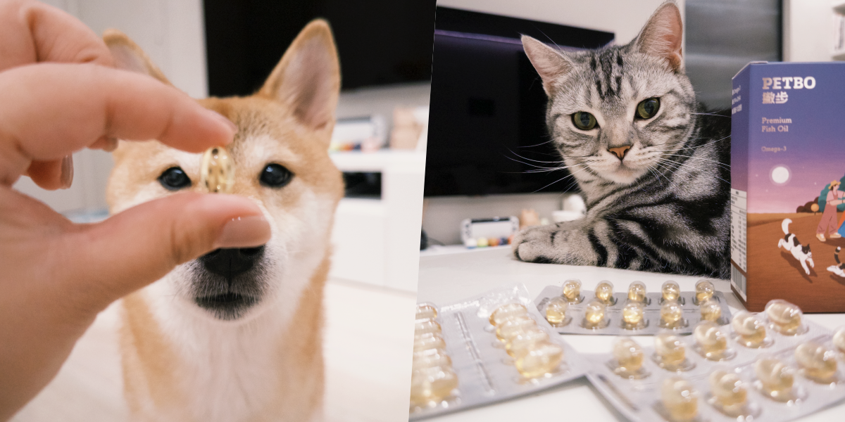 PETBO 撇步完美寵物魚油開箱