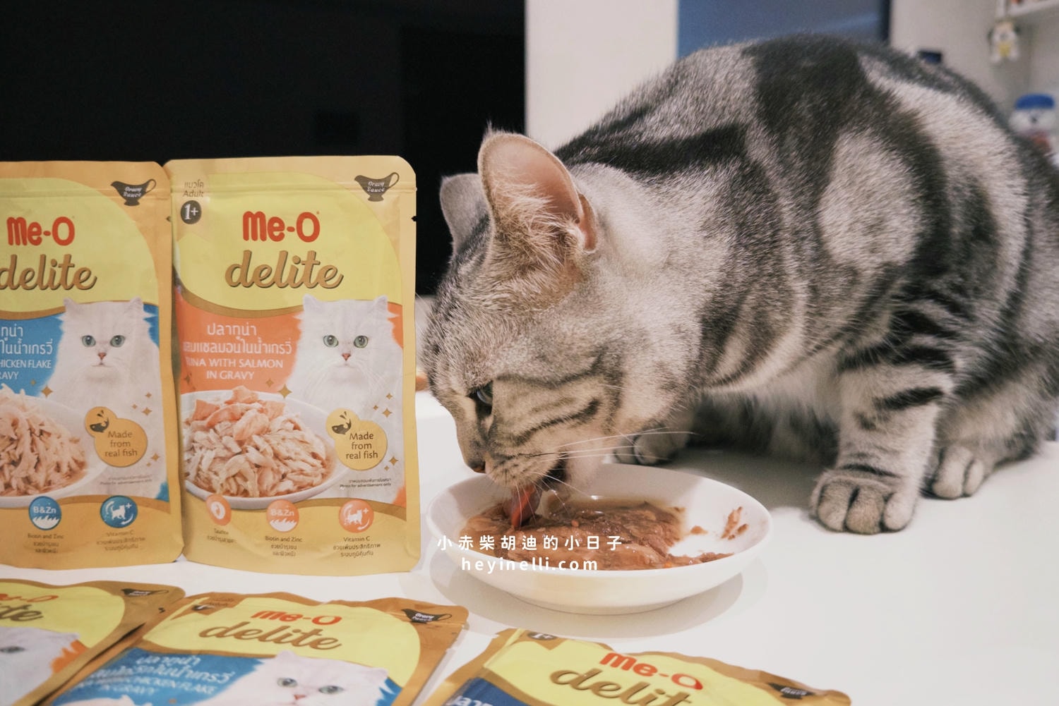 貓咪機能零食推薦｜Me-O 咪歐貓點心開箱：咪歐巧鮮包、咪歐搖咪丸、咪歐喵一口｜全聯貓咪餐包分享給你！