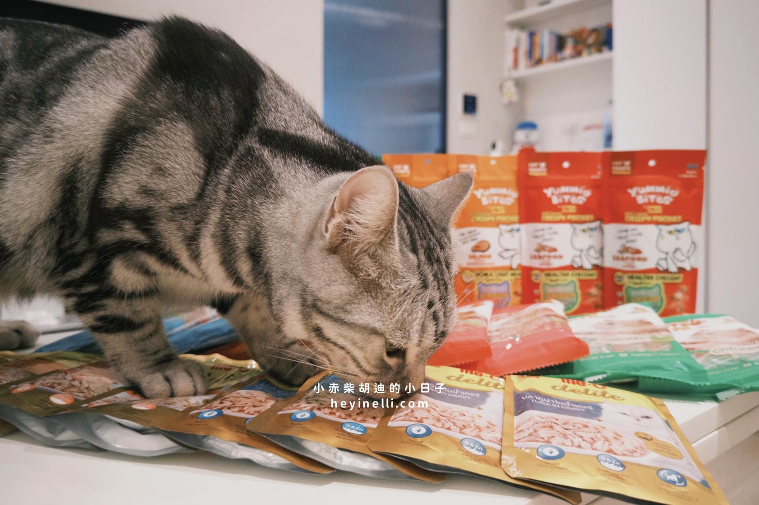 貓咪機能零食推薦｜Me-O 咪歐貓點心開箱：咪歐巧鮮包、咪歐搖咪丸、咪歐喵一口｜全聯貓咪餐包分享給你！