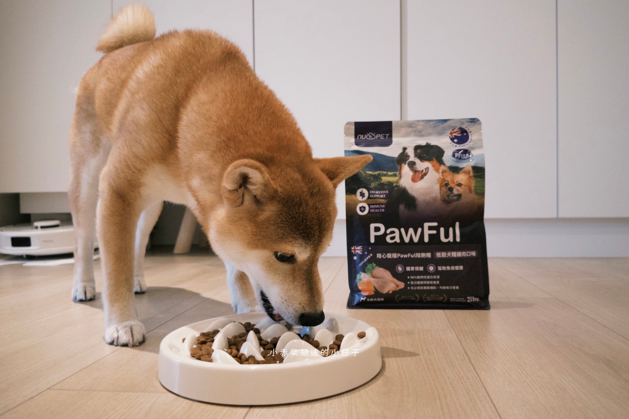 飲食控制飼料推薦！開箱 Pawful 陪飽糧｜吃飽不挨餓的高蛋白低穀飼料分享