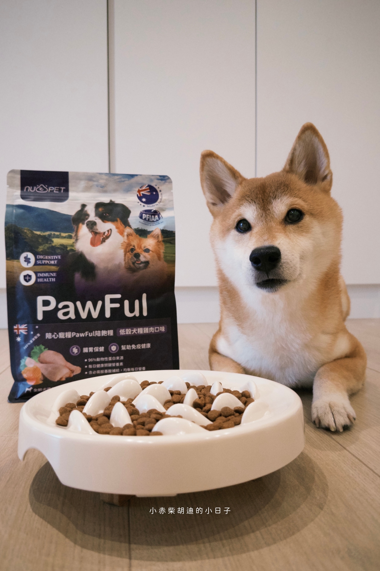 飲食控制飼料推薦！開箱 Pawful 陪飽糧｜吃飽不挨餓的高蛋白低穀飼料分享