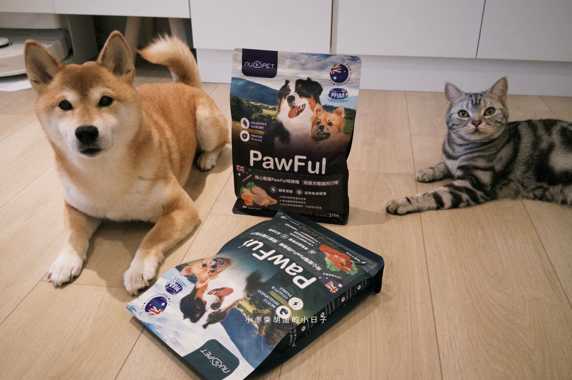 飲食控制飼料推薦！開箱 Pawful 陪飽糧｜吃飽不挨餓的高蛋白低穀飼料分享