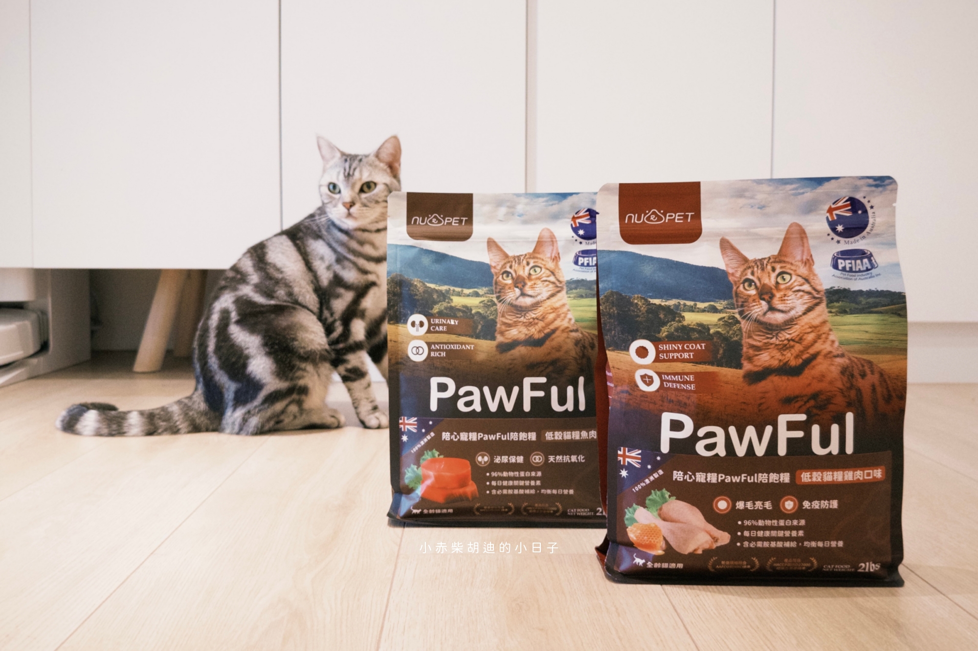 飲食控制飼料推薦！開箱 Pawful 陪飽糧｜吃飽不挨餓的高蛋白低穀飼料分享