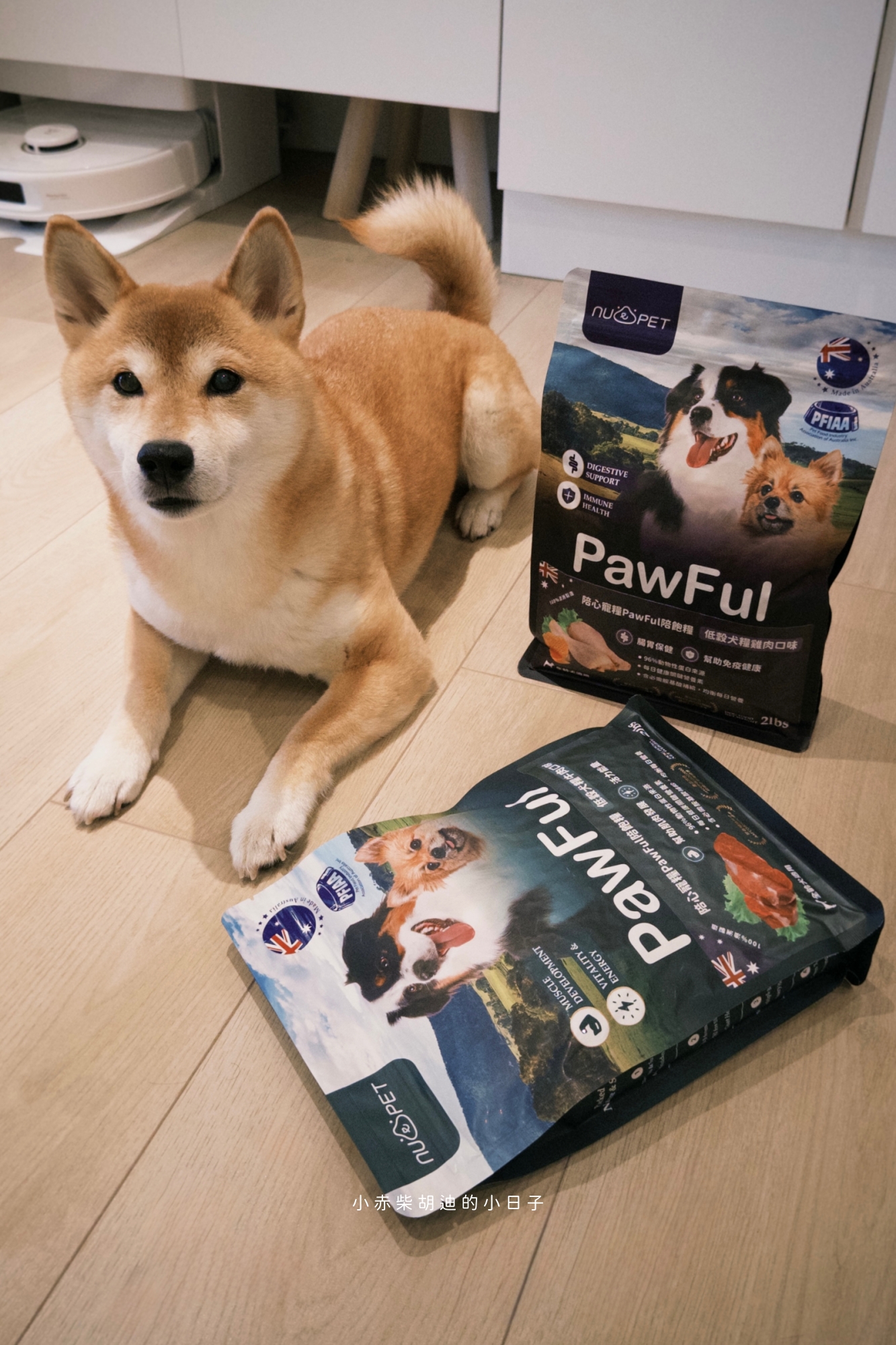 飲食控制飼料推薦！開箱 Pawful 陪飽糧｜吃飽不挨餓的高蛋白低穀飼料分享