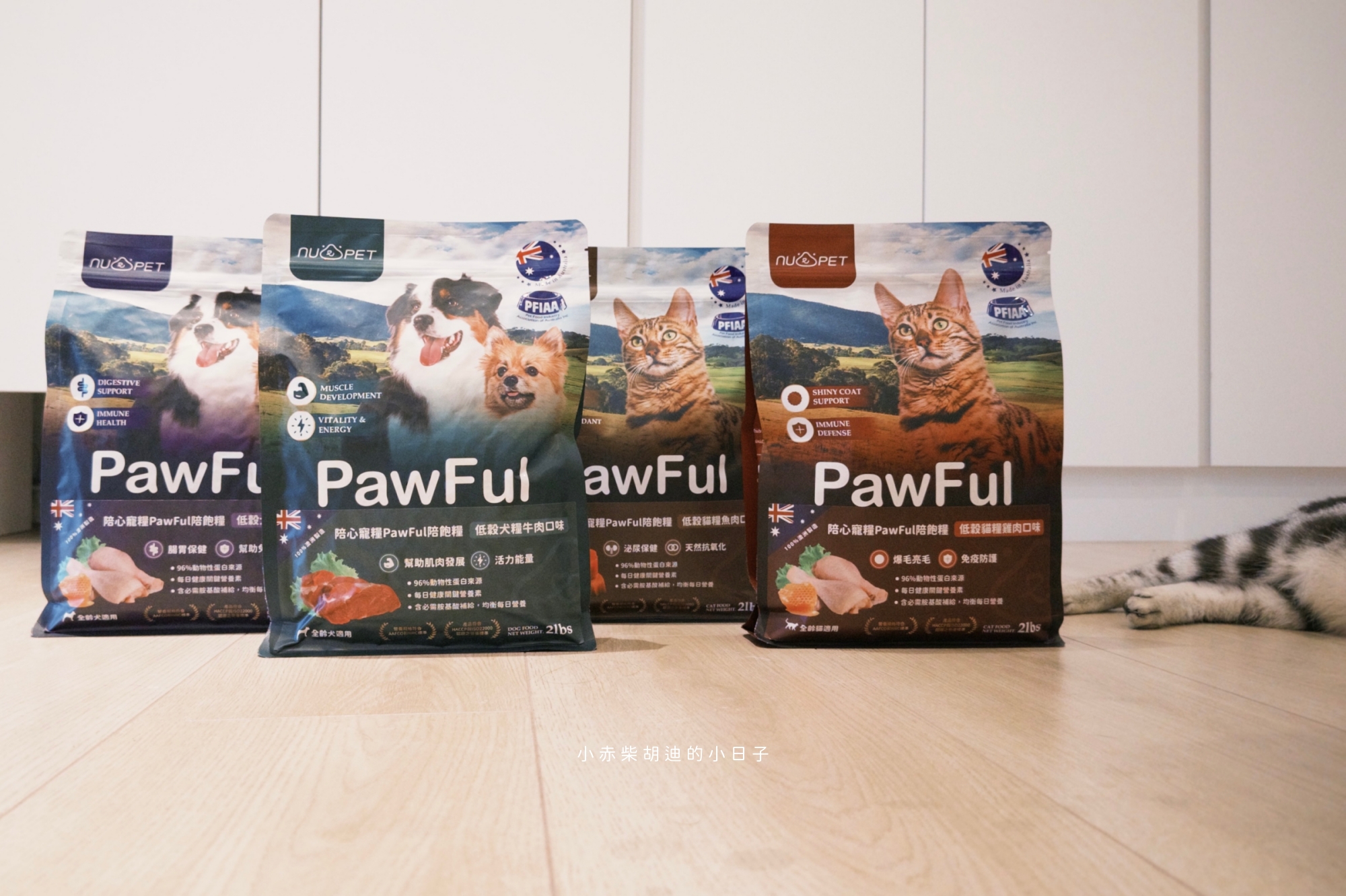 飲食控制飼料推薦！開箱 Pawful 陪飽糧｜吃飽不挨餓的高蛋白低穀飼料分享